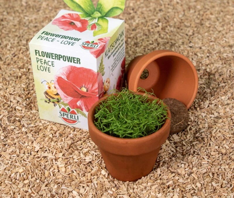 Sperli Anzuchtset Inkl. Tontopf, Substrat & Mohn Blumensamen 3 Sperli Anzuchtset Inkl. Tontopf, Substrat & Mohn Blumensamen