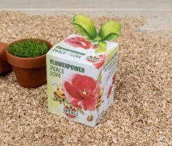 Sperli Anzuchtset Inkl. Tontopf, Substrat & Mohn Blumensamen 5 Sperli Anzuchtset Inkl. Tontopf, Substrat & Mohn Blumensamen -Samenshop24 Elegant Boutique anzuchtset sperli2