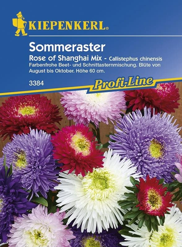 Astern Rose Of Shanghai Mix 3 Astern Rose Of Shanghai Mix