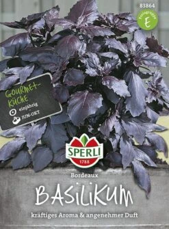 Basilikum Bordeaux