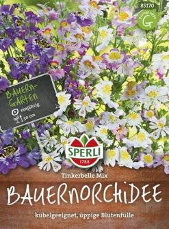 Bauernorchidee Tinkerbelle Mix