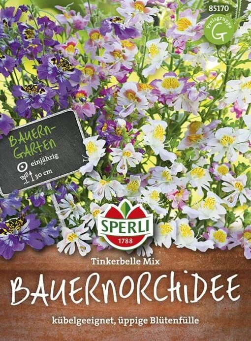 Bauernorchidee Tinkerbelle Mix -Samenshop24 Elegant Boutique bauernorchidee tinkerbelle mix