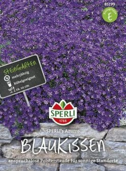 Blaukissen (Aubrietia) SPERLING`s Azzurro
