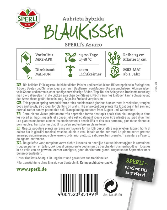 Blaukissen (Aubrietia) SPERLING`s Azzurro 4 Blaukissen (Aubrietia) SPERLING`s Azzurro – Bild 2