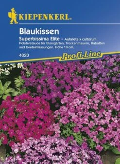 Blaukissen Superbissima Elite | Zwei- Und Mehrjährig | Polsterstaude | Steingärten Und Rabatten -Samenshop24 Elegant Boutique blaukissen superbissima elite