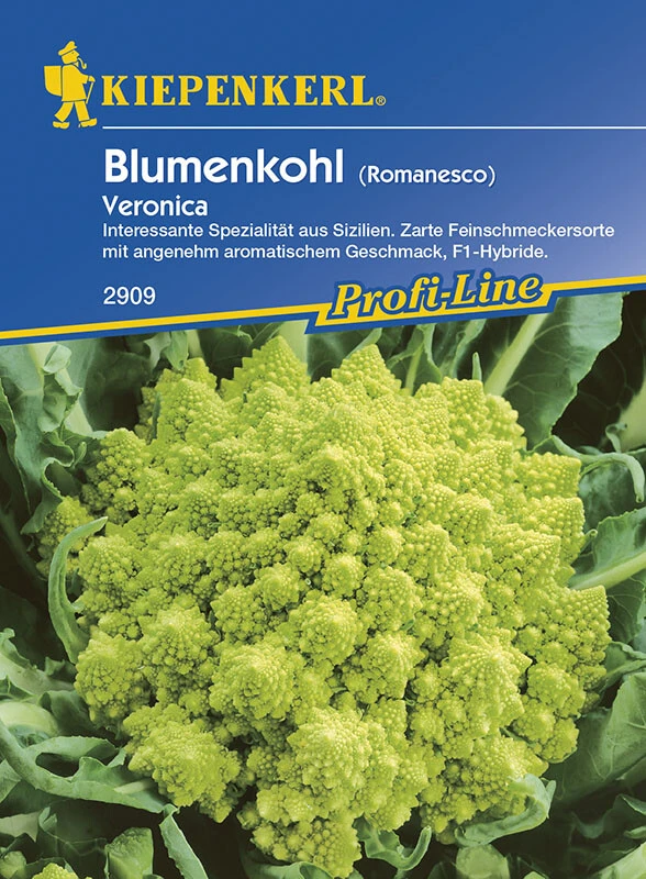 Blumenkohl Romanesco Veronica Grün Pyramidenförmig Resistent 3 Blumenkohl Romanesco Veronica Grün Pyramidenförmig Resistent