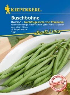 Buschbohne Domino, Widerstandsfähige Fadenlose Filet-Bohne Mit 12-13 Cm Langen Feinen Hülsen, Tiefgefriersorte 7 Buschbohne Domino, Widerstandsfähige Fadenlose Filet-Bohne Mit 12-13 Cm Langen Feinen Hülsen, Tiefgefriersorte -Samenshop24 Elegant Boutique buschbohne domino