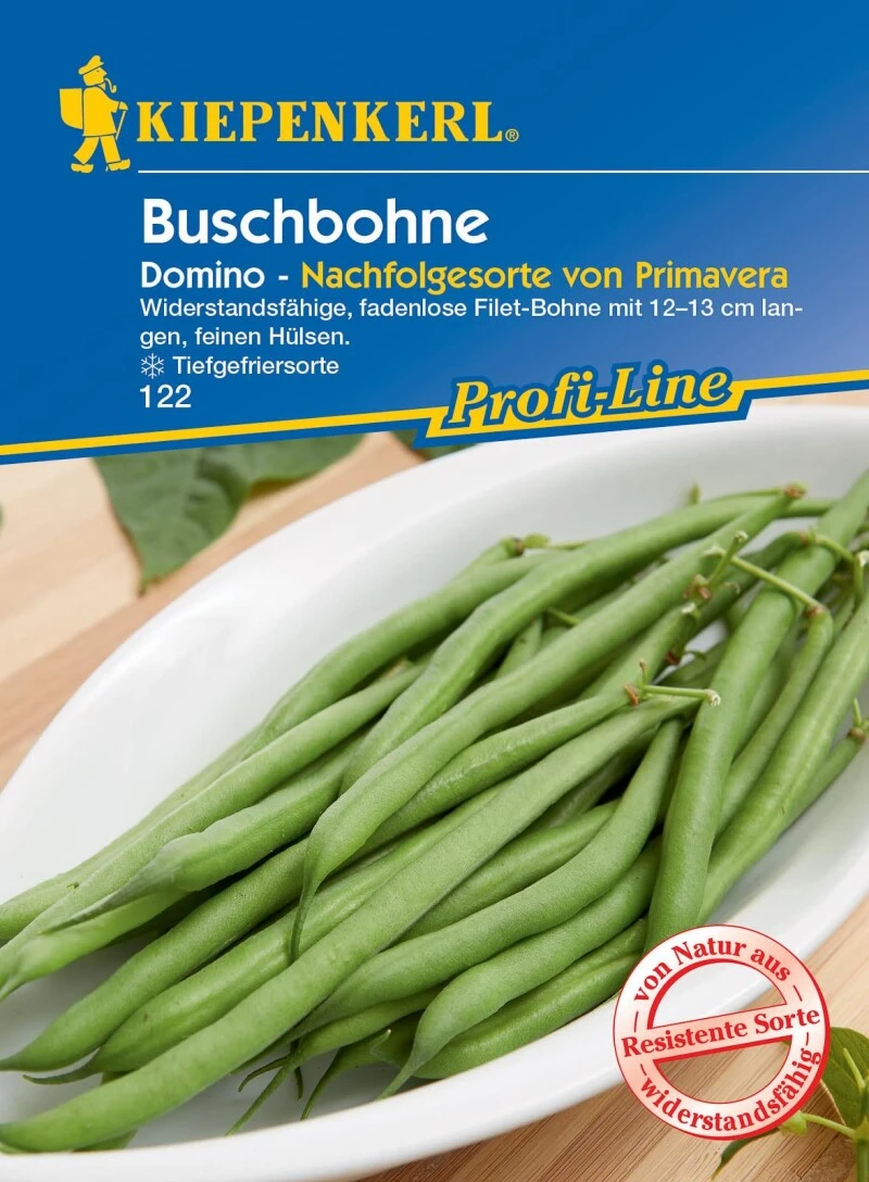 Buschbohne Domino, Widerstandsfähige Fadenlose Filet-Bohne Mit 12-13 Cm Langen Feinen Hülsen, Tiefgefriersorte 5 Buschbohne Domino, Widerstandsfähige Fadenlose Filet-Bohne Mit 12-13 Cm Langen Feinen Hülsen, Tiefgefriersorte – Bild 3
