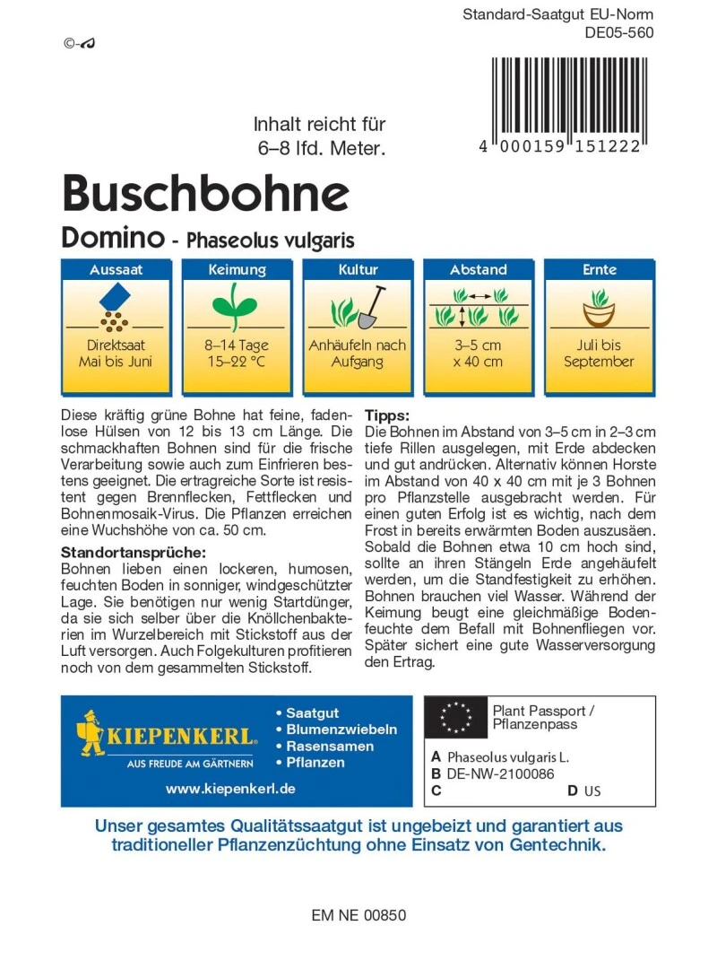 Buschbohne Domino, Widerstandsfähige Fadenlose Filet-Bohne Mit 12-13 Cm Langen Feinen Hülsen, Tiefgefriersorte 4 Buschbohne Domino, Widerstandsfähige Fadenlose Filet-Bohne Mit 12-13 Cm Langen Feinen Hülsen, Tiefgefriersorte – Bild 2