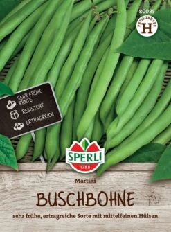 Buschbohne Martini, Sehr Frühe Ertragreiche Sorte, Resistent -Samenshop24 Elegant Boutique buschbohne martini