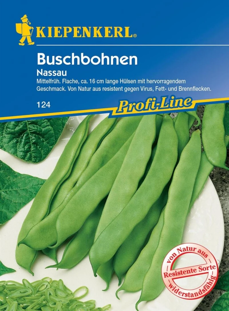 Buschbohne Nassau, Mittelfrüh Mit Hervorragendem Geschmack, Resistent Gegen Virus Fett- Und Brennflecken 5 Buschbohne Nassau, Mittelfrüh Mit Hervorragendem Geschmack, Resistent Gegen Virus Fett- Und Brennflecken – Bild 3
