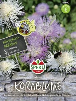 Centaurea Americana Kornblume, Aloha 5 Centaurea Americana Kornblume, Aloha -Samenshop24 Elegant Boutique centaurea americana kornblume aloha