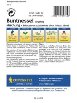 Coleus X Blumei Buntnessel -Samenshop24 Elegant Boutique coleus x blumei buntnessel2