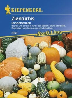 Cucurbita Pepo Zierkürbis Sonderformenmischung 5 Cucurbita Pepo Zierkürbis Sonderformenmischung -Samenshop24 Elegant Boutique cucurbita pepo zierkuerbis sonderformenmischung