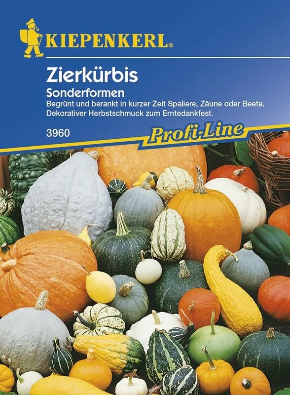 Cucurbita Pepo Zierkürbis Sonderformenmischung 4 Cucurbita Pepo Zierkürbis Sonderformenmischung – Bild 2
