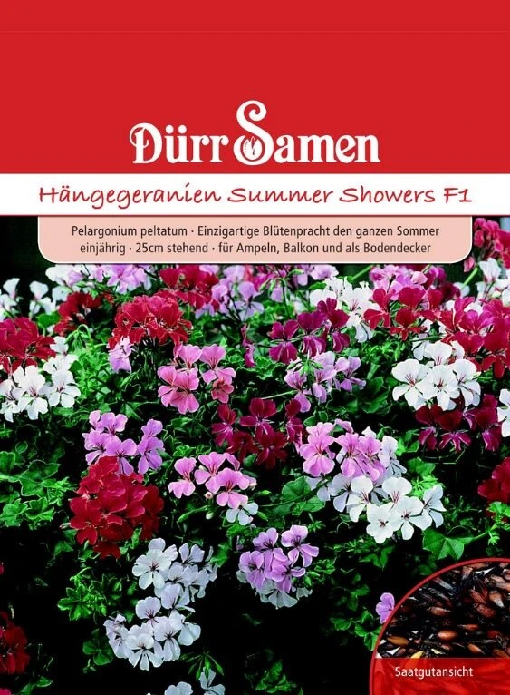 Dürr Hängegeranien Mischung F1, Einjährig, Portionssaatgut, Inhalt: 6 Korn 4 Dürr Hängegeranien Mischung F1, Einjährig, Portionssaatgut, Inhalt: 6 Korn – Bild 2