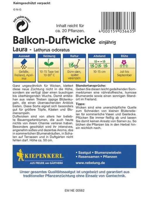 Duftwicke Laura | Buschiger Bis überhängender Wuchs |gut Für Töpfe Kästen Und Blumenampeln -Samenshop24 Elegant Boutique duftwicke laura2