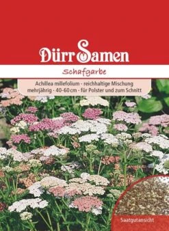 Edelgarbe & Schafgarbe Mischung, Achillea Millefolium 5 Edelgarbe & Schafgarbe Mischung, Achillea Millefolium -Samenshop24 Elegant Boutique edelgarbe schafgarbe mischung achillea millefolium