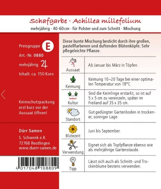 Edelgarbe & Schafgarbe Mischung, Achillea Millefolium 3 Edelgarbe & Schafgarbe Mischung, Achillea Millefolium