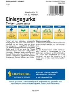 Einlegegurke Twigy, F1 Resistent Gegen Mehltau Und Gurkenkrätze