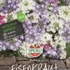 Eisenkraut Duftmix, Begeistert Jeden Und Versprüht Einen Herrlich Sommerlichen Duft -Samenshop24 Elegant Boutique eisenkraut duftmix