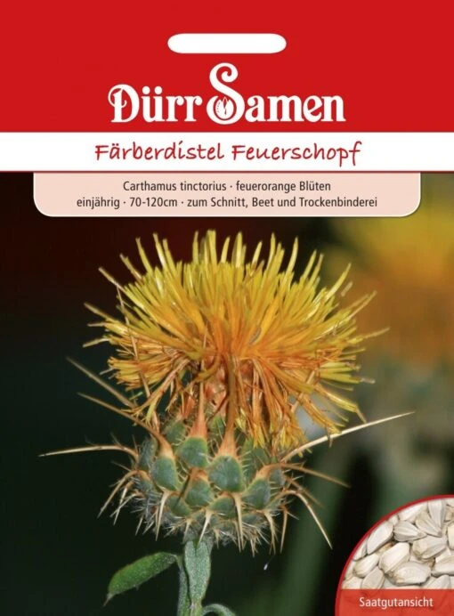 Färberdistel Feuerschopf Carthamus Tinctorius -Samenshop24 Elegant Boutique faerberdistel feuerschopf carthamus tinctorius