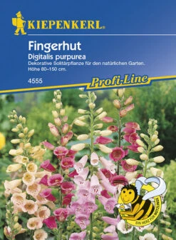 Fingerhut, Dekorative Solitärpflanze Für Den Naturnahen Garten, Nektarspender 5 Fingerhut, Dekorative Solitärpflanze Für Den Naturnahen Garten, Nektarspender -Samenshop24 Elegant Boutique fingerhut 7