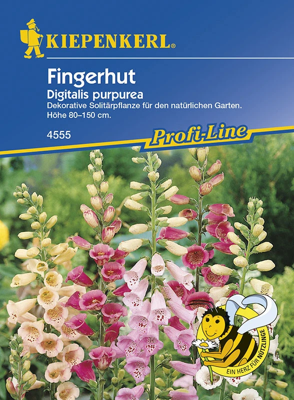 Fingerhut, Dekorative Solitärpflanze Für Den Naturnahen Garten, Nektarspender 4 Fingerhut, Dekorative Solitärpflanze Für Den Naturnahen Garten, Nektarspender – Bild 2