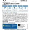 Fleisch-Tomate Buffalosun F1, Früh Reifende Gegen Braunfäule Resistente Sorte, Zartes Fruchtfleisch Und Wenig Samen -Samenshop24 Elegant Boutique fleisch tomate buffalosun f1 frueh reifende gegen braunfaeule resistente sorte zartes fruchtfleisch und wenig samen2