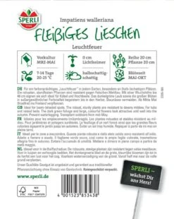 Fleißiges Lieschen Leuchtfeuer, Resistent Gegen Falschen Mehltau, Ideal Für Kübel Und Hochbeete -Samenshop24 Elegant Boutique fleissiges lieschen leuchtfeuer2