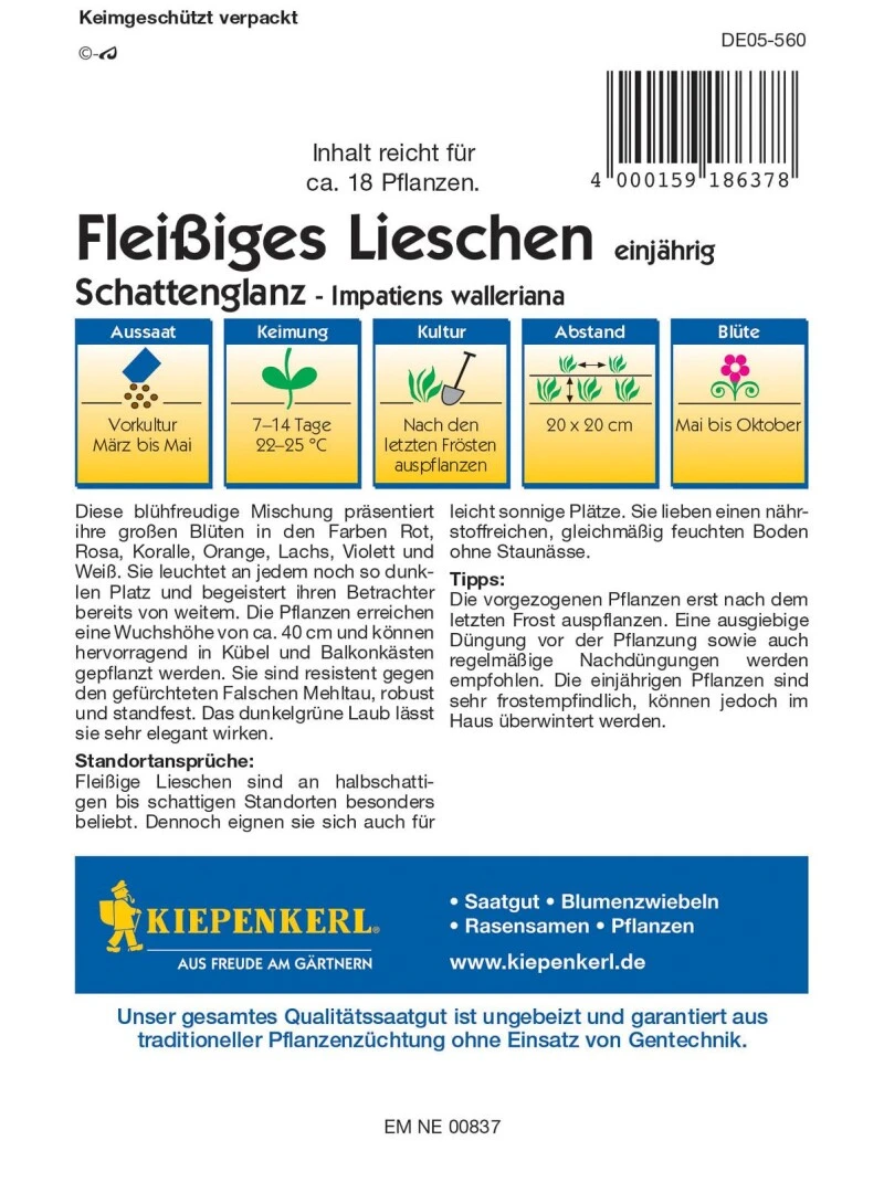 Fleißiges Lieschen Schattenglanz, Farbenfrohe Leuchtende Mischung Für Schattige Plätze, Resistent Gegen Falschen Mehltau, Wuchshöhe Bis 40 Cm 3 Fleißiges Lieschen Schattenglanz, Farbenfrohe Leuchtende Mischung Für Schattige Plätze, Resistent Gegen Falschen Mehltau, Wuchshöhe Bis 40 Cm