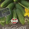 Gurke Excelsior F1 (verb. Für Cubella) Ausgezeichnete Bitterfreie Einlegegurke -Samenshop24 Elegant Boutique gurke excelsior f1 verb fuer cubella ausgezeichnete bitterfreie einlegegurke