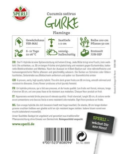 Gurke Flamingo F1 -Samenshop24 Elegant Boutique gurke flamingo f12