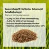 Samenshop24® Härtlicher Schwingel/ Schafschwingel Festuca Trachyphylla | 1kg Für 200 M² -Samenshop24 Elegant Boutique haertlicher schwingel schafschwingel2