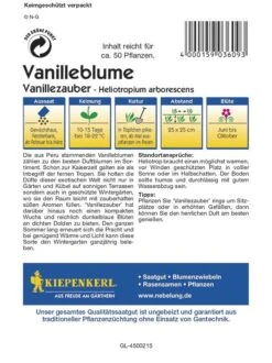 Heliotropium Arborescens Vanilleblume Vanillezauber -Samenshop24 Elegant Boutique heliotropium arborescens vanilleblume vanillezauber2