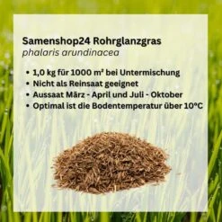 Samenshop24® Horstrotschwingel Festuca Rubra Commutata 1kg -Samenshop24 Elegant Boutique horstrotschwingel festuca rubra commutata2
