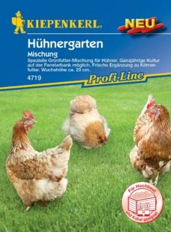 Hühnergarten (Inhalt: 30 Gr.), Spezielle Grünfutter Saatgut-Mischung Für Hühner -Samenshop24 Elegant Boutique huehnergarten