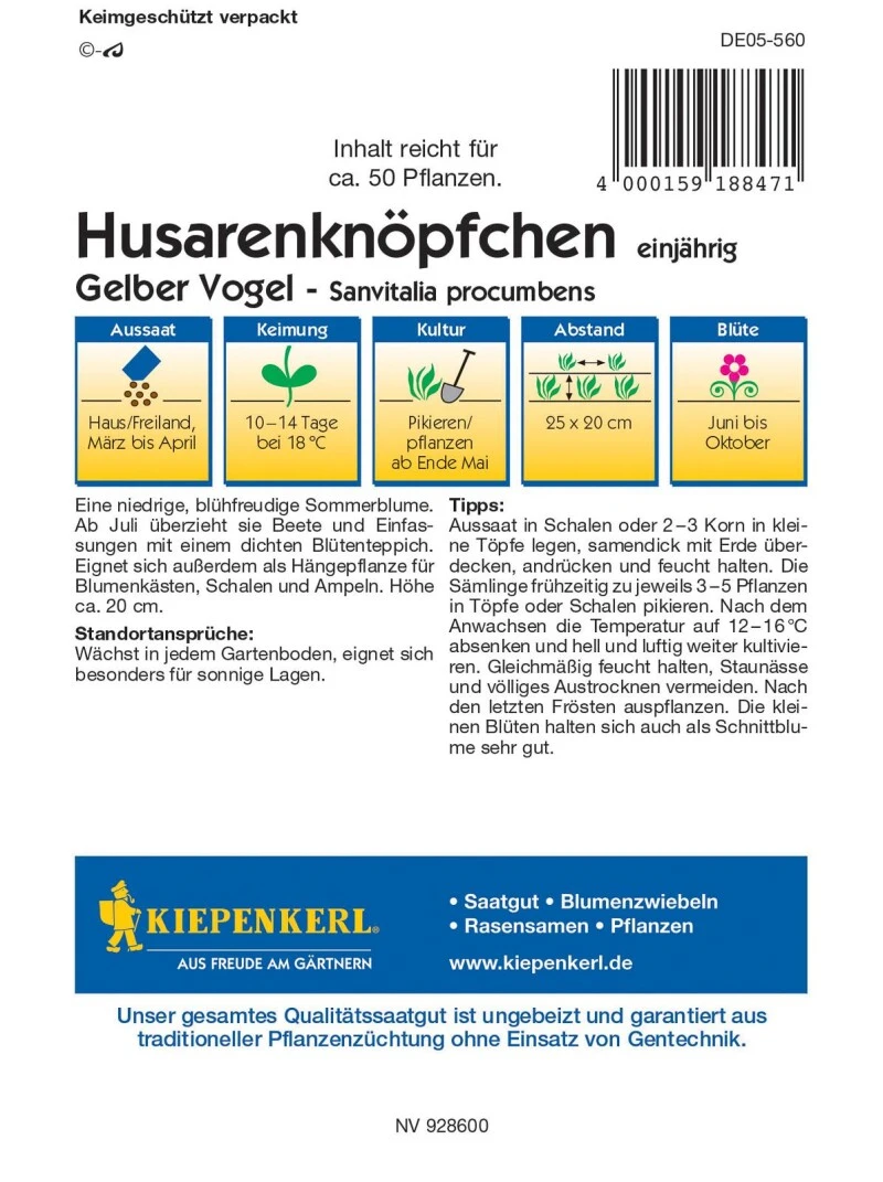 Husarenköpfchen Gelber Vogel, Niedrig Wachsende Sommerblume Ist Eine Echte Zierde Für Einfassungen Blumenkästen Und Ampeln 3 Husarenköpfchen Gelber Vogel, Niedrig Wachsende Sommerblume Ist Eine Echte Zierde Für Einfassungen Blumenkästen Und Ampeln