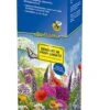 Insektenparadies, Blumenmischung Mit Aussaathelfer -Samenshop24 Elegant Boutique insektenparadies blumenmischung mit aussaathelfer