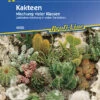 Kakteen Mischung, Besonders Pflegeleicht, Liebhabermischung In Vielen Varietäten 1 Kakteen Mischung, Besonders Pflegeleicht, Liebhabermischung In Vielen Varietäten -Samenshop24 Elegant Boutique kakteen mischung