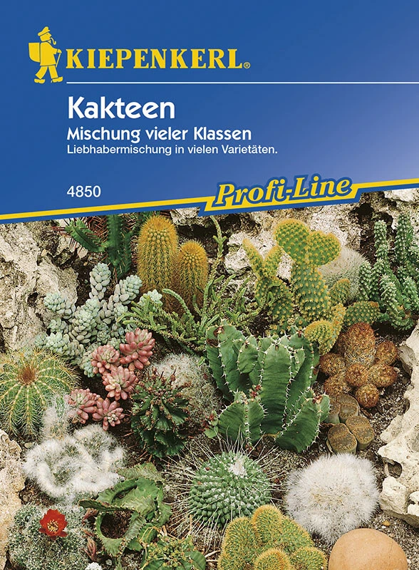 Kakteen Mischung, Besonders Pflegeleicht, Liebhabermischung In Vielen Varietäten 3 Kakteen Mischung, Besonders Pflegeleicht, Liebhabermischung In Vielen Varietäten