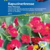 Kapuzinerkresse Pink Princess, Intensiv Pink Leuchtend, Ideal Für Töpfe Kübel Und Ampel, Essbar, Nahrungsquelle Für Nützlinge Und Insekten -Samenshop24 Elegant Boutique kapuzinerkresse pink princess intensiv pink leuchtend ideal fuer toepfe kuebel und ampel essbar nahrungsquelle fuer nuetzlinge und insekten