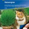 Katzengras, Saatscheibe, Immer Frisches Grün Für Die Hauskatze, Schnell Und Einfach 1 Katzengras, Saatscheibe, Immer Frisches Grün Für Die Hauskatze, Schnell Und Einfach -Samenshop24 Elegant Boutique katzengras saatscheibe