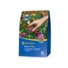 Kiepenkerl Blumen-Wiese Rasenmischung -Samenshop24 Elegant Boutique kiepenkerl blumen wiese rasenmischung