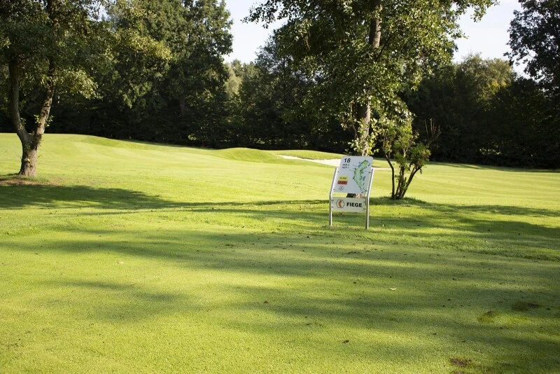 Kiepenkerl Golfrasen Masters Nachsaat 10kg 3 Kiepenkerl Golfrasen Masters Nachsaat 10kg