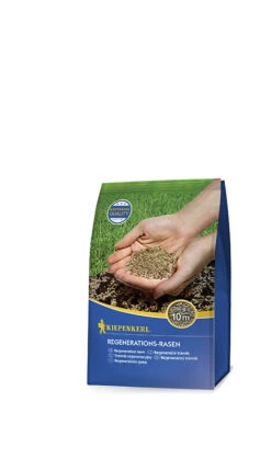 Kiepenkerl Regenerationsrasen 8 Kiepenkerl Regenerationsrasen -Samenshop24 Elegant Boutique kiepenkerl regenerationsrasen