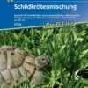 Kiepenkerl Schildkrötenmischung, Vitaminreiche Futtermischung Speziell Für Schildkröten Zusammengestellt -Samenshop24 Elegant Boutique kiepenkerl schildkroetenmischung vitaminreiche futtermischung speziell fuer schildkroeten zusammengestellt
