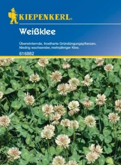 Kiepenkerl Weissklee, 60 G -Samenshop24 Elegant Boutique kiepenkerl weissklee 60 g
