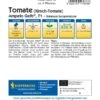 Kirsch-Tomate Ampelo Gelb® (Donna Yellow, F1), Ampeltomate Bringt Kleine, Sehr Süße Früchte -Samenshop24 Elegant Boutique kirsch tomate ampelo gelb2