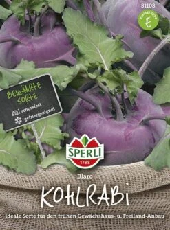Kohlrabi Blaro,für Den Treib- Und Freilandanbau -Samenshop24 Elegant Boutique kohlrabi blaro fuer den treib und freilandanbau